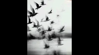 لتنساني اخاف يصير شي بيه بدون موسيقى دندنها