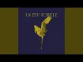 Download Lagu Unzer Toirele