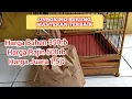 Download Lagu Ini Dia Burung Masteran Paling Dicari Para Kicau Mania || kicau pidong