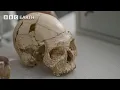 Download Lagu Scientists Shocked By Hybrid Human Fossils | Human | BBC Earth Science