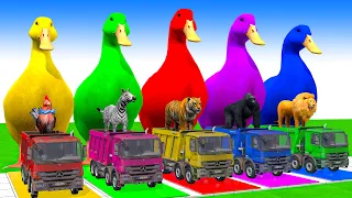 Cow Mammoth Elephant Tiger Sheep LION Guess The Right Key ESCAPE ROOM CHALLENGE Animals Tire Game