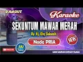 Download Lagu Sekuntum Mawar Merah_Karaoke Dangdut_Nada Pria_By-Elvy Sukaesih