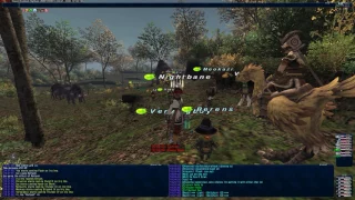 FFXI Nasomi IRIZ IMA level 99