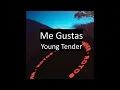 Tu Me Gustas Karaoke - Young Tender
