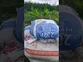 Download Lagu kena letak taik ayam kt pokok pisang