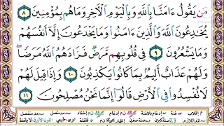 سورة البقرة الصفحة 3 المصحف التعليمي د أيمن سويد 