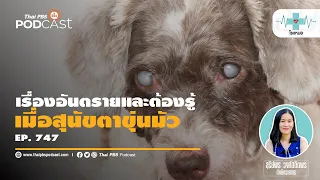 การรักษาต้อกระจกในสุนัขทำอย่างไร