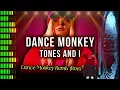 Lagu Dance Monkey Remix -  Dj Alex  (Audio Remasterizado)