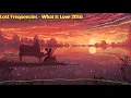 Lost Frequencies - What Is Love 2016