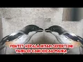 Download Lagu PENTET KEPALA HITAM SEPERTI INI YANG DI CARI KICAU MANIA 