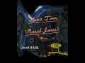 Flame Twin by Norah Jones,  performed by The Swamp Roots - live 01/10/2026 Castelnuovo Magra (Italy)