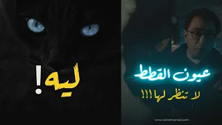 أسرار عيون القطط   ليه ما ينفعش نبص في عيون القطط دندنها