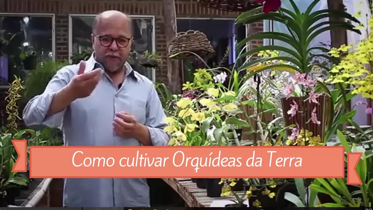 COMO CULTIVAR ORQUÍDEAS DA TERRA