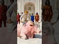 Download Lagu Qurbani Mubarak 2025 😍 Cat, animal, Cow, CartoonHush Realm #qurbani2026 #eid2025 #trending