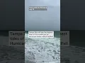 What does a king tide in Tampa Bay mean for Idalia s storm surge