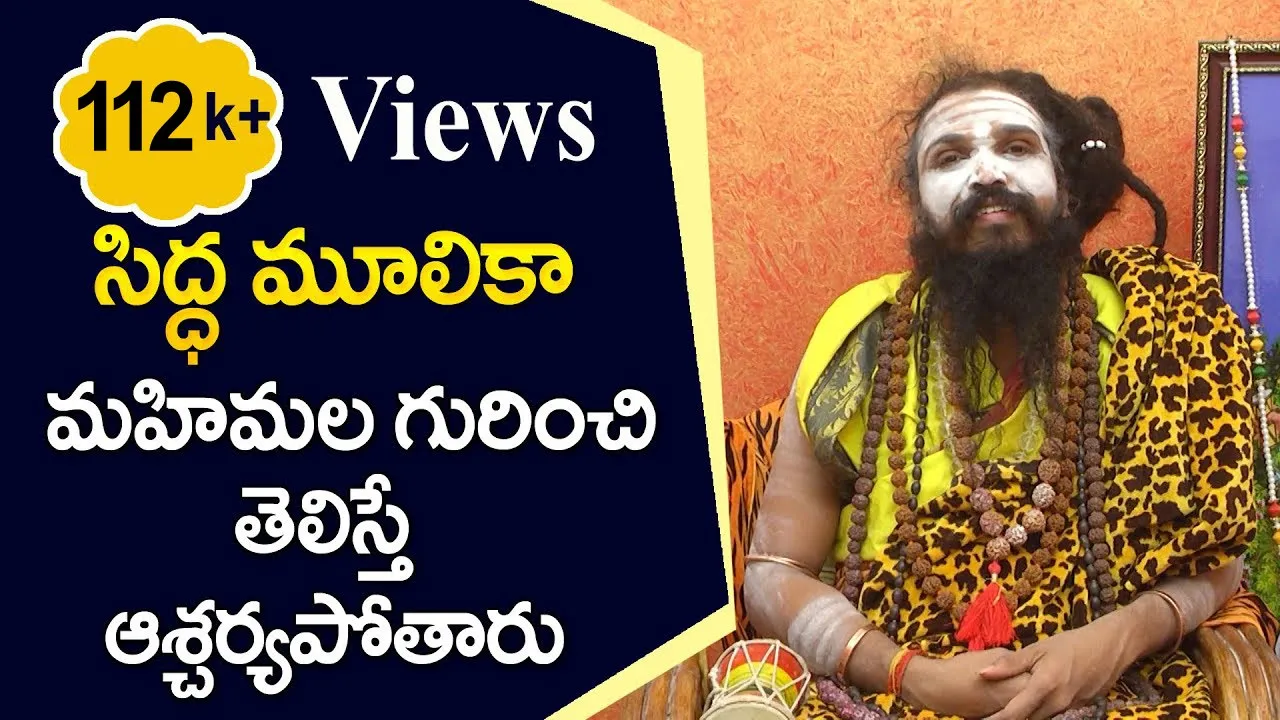 Facts about siddha mulika | సిద్ధ మూలికా మహిమలు | Sri Swamy Siddhayogeeswara Yogi |#sreesannidhitv