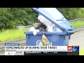 Homeowners in DeKalb Co frustrated with lack of trash collection