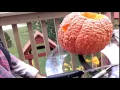 Halloween Cheshire Cat Pumpkin Carving Vlog