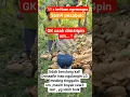 Download Lagu \