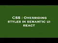 CSS Overriding styles in semantic ui react