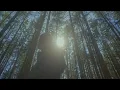 Hayd - Too Much, Too Soon ft. jerm's best day (Official Music Video)