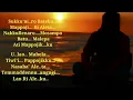 Download Lagu MA'DENGE PADANG PADANG Lirik NURDIN S.||Lagu BUGIS