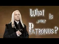 Discover your Patronus Wizarding world Pottermore Peacock