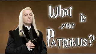 Discover your Patronus Wizarding world Pottermore Peacock