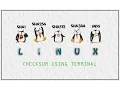 Compute Checksum Linux Terminal Tricks