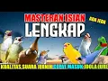 Lagu MASTERAN TERLENGKAP TAHUN INI UNTUK MATERI BURUNG GANTANGAN || Terbaru 2025