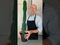 Download Lagu Repotting My Cactus 🌵 | Tips for Handling \u0026 Custom Cactus Soil Mix!