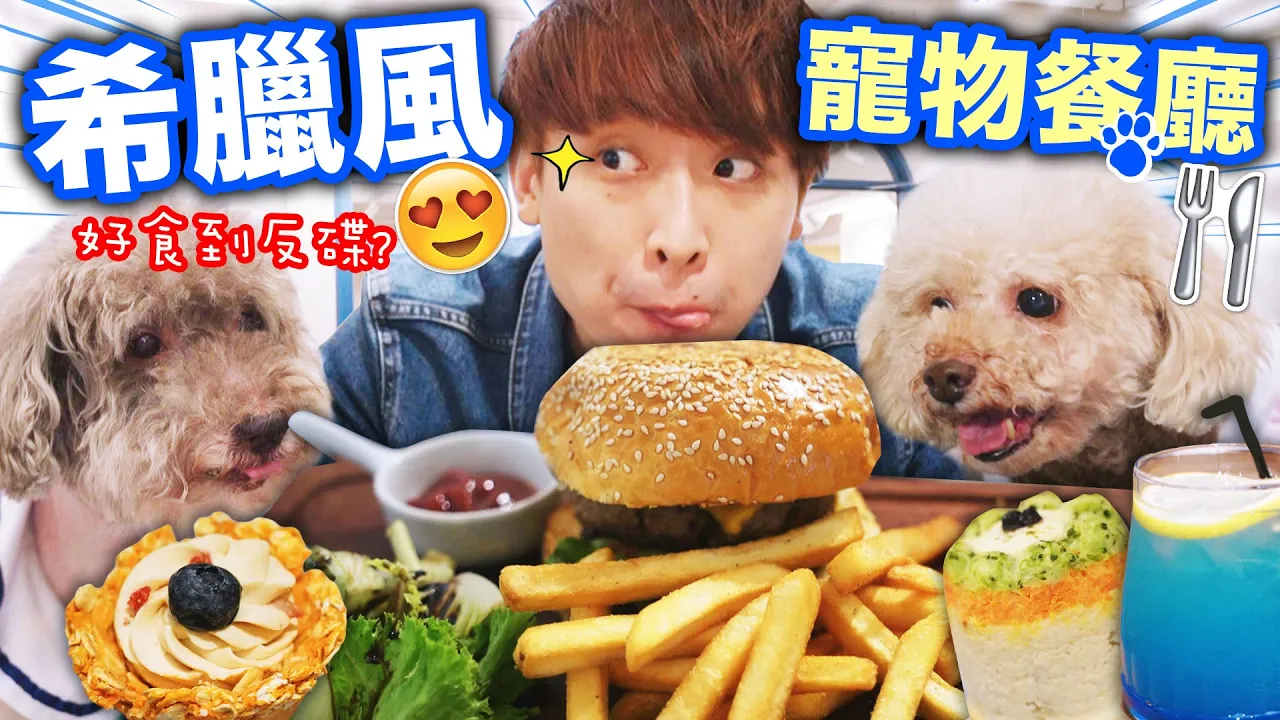 【與寵物歎美食】😍🐶「藍白希臘風」Pet-Friendly餐廳🍴露天吃大餐邊放狗！好食到反碟🤣？！(中文字幕)