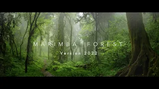 Download Marimba Forest 「 version 2022 」 MP3