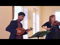 Beethoven - Sonatina No.37 in G (mandolin & strings)