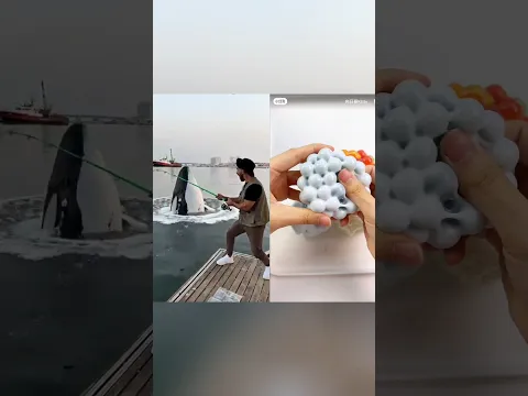 كان الأمر مضحكاً وغير متوقع.😅