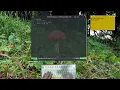 Learning Rust Programming - Bool