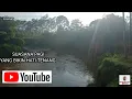 Download Lagu SUARA DAN SUASANA PEDESAAN  SUARA KOKOK AYAM DAN KICAU BURUNG DI PAGI HARI @husnansaerichenel