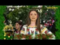 Download Lagu Luisa Maria Vasilcovici si Formatia Enea   Frunzulita margarit