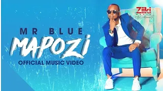 mapozi mr blue official video