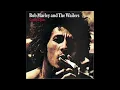 Bob Marley and the Wailers   400 Years with Lyrics in Description