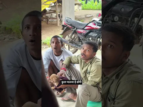 कुत्ता पालना है डॉगी