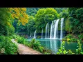 Download Lagu Beautiful Relaxing Music 🍀 Soothing melodies for meditation, stress relief \u0026 sleep