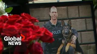 Download Toronto police honour fallen K9 dog, Bingo: \ MP3