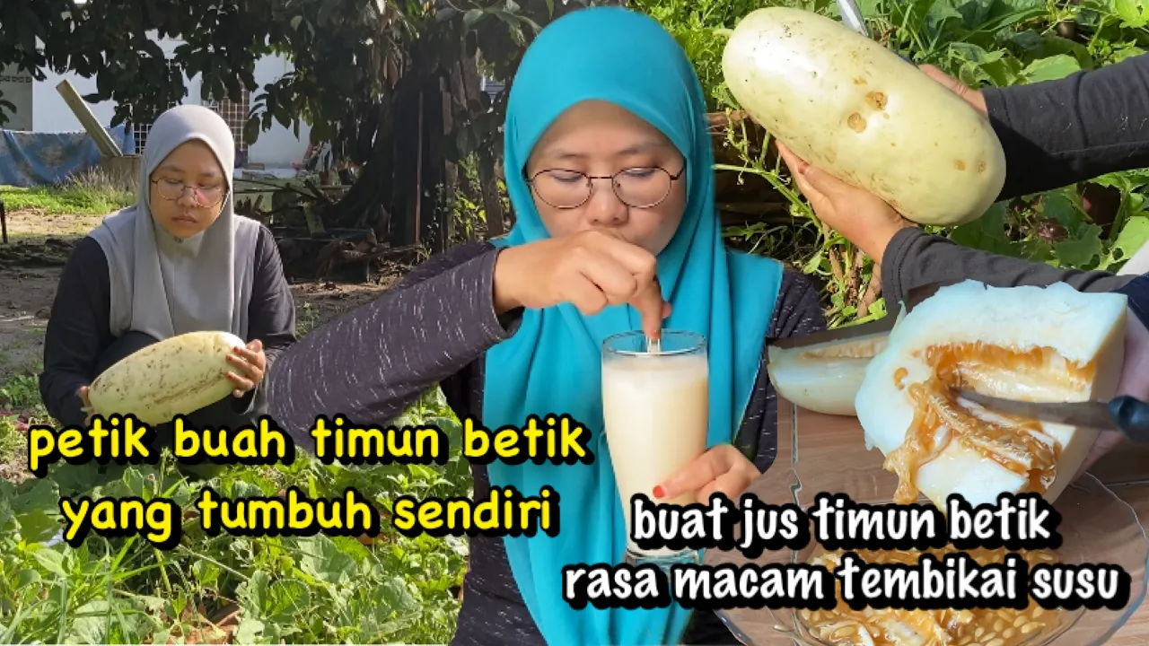 Buat jus timun betik hasil dari pokok yang tumbuh sendiri