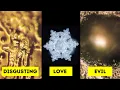 Water Has Memory Dr Masaru Emoto s Water Experiment