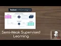 Semi-Weak Supervised Learning