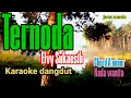 Download Lagu karaoke dangdut || ternoda || Elvy Sukaesih
