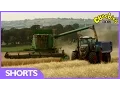 Lagu CBeebies: Harvest Time With Down On The Farm