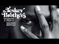 The Teskey Brothers - That Bird