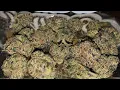 RS-11 Strain Review